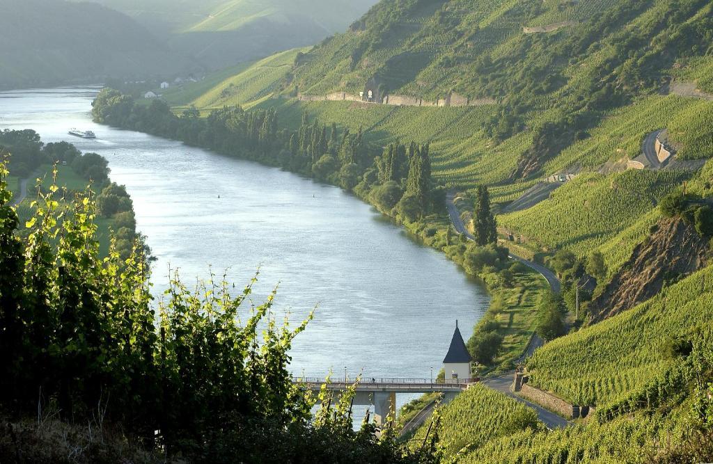 Ernst Cluesserath Weingut & Weinhotelchen Trittenheim Esterno foto